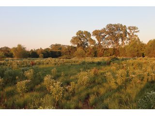 Tract 7 - Stillwater, OK farmland - EXCITING LAND AUCTION! - 128 +/- ACRES OFFERED IN 7 TRACTS OFF HIGHWAY 51 IN STILLWATER, OKLAHOMA